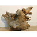 PHANTASMAGORIE MARINE | Sculpture bois