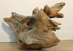 Phantasmagorie marine | Sculpture en bois | Denis Thébaudeau